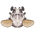 Goliath Beetle