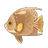 Gray Angelfish