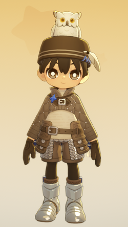 Grayowl Witchknight Dress Up Set.png