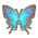 Great Purple Hairstreak