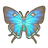 Great Purple Hairstreak