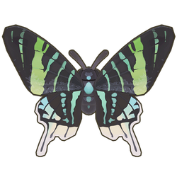 Green-Banded Urania Icon.png