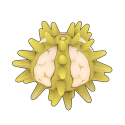 Green Sea Urchin Icon.png
