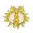 Green Sea Urchin