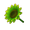 Green Sunflower