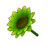 Green Sunflower