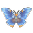 Guava Skipper