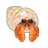 Hermit Crab