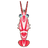 Hingebeak Shrimp