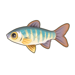 Hooksnout Carp Icon.png