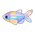 Hummingbird Tetra