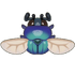 Indigo Beetle