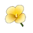 Jade Gold Canna