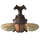 Kabuto Beetle