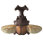 Kabuto Beetle