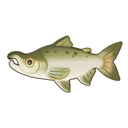 King Salmon Icon.png