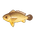 Large Yellow Croaker
