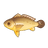 Large Yellow Croaker