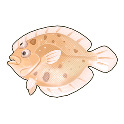 Largetooth Flounder Icon.png