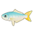 Leatherjacket Fish