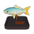 Leatherjacket Fish Model