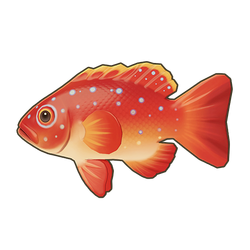 Leopard Coral Grouper Icon.png