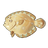 Leopard Flounder