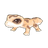 Leopard Gecko