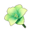 Lime Amaryllis