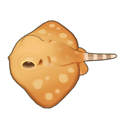 Longtail Butterfly Ray Icon.png