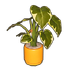 Maizeglow Potted Plant