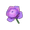 Mauve Mooncycle Rose