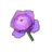 Mauve Mooncycle Rose