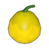 Melon