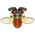 Metallic Wood-Boring Beetle