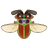Metallic Wood-Boring Beetle