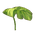 Monstera Umbrella