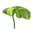 Monstera Umbrella