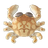 Moon Crab