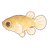 Mosquitofish