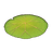Nelumbra Rug