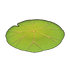 Nelumbra Rug