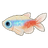Neon Tetra