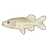 Noodlefish