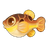 Obscure Pufferfish