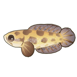 Obscure Snakehead Icon.png