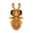 Odorous House Ant