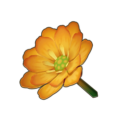 Orange Winter Adonis Icon.png