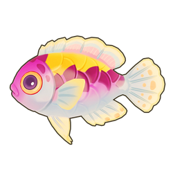 Orangeback Fairy-Wrasse Icon.png