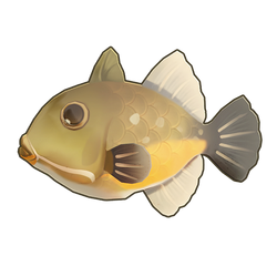 Orangeside Triggerfish Icon.png